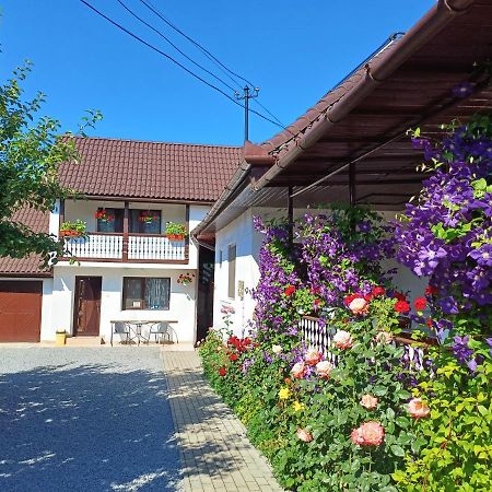 Ferienwohnung Casa Sallai Sovata Exterior foto