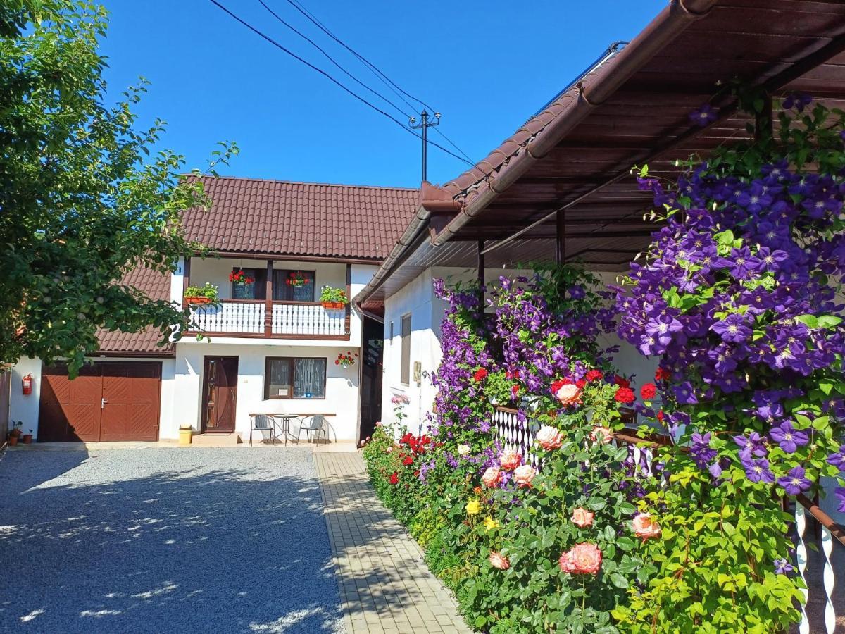 Ferienwohnung Casa Sallai Sovata Exterior foto